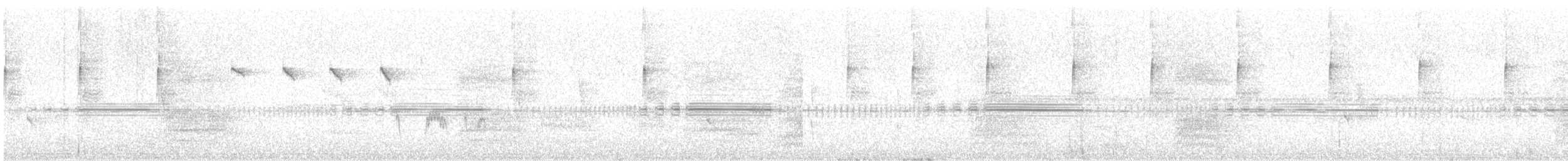 White-bellied Hummingbird - ML646374509