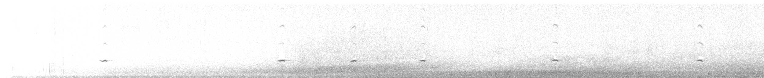 Townsend's Solitaire - ML646374695