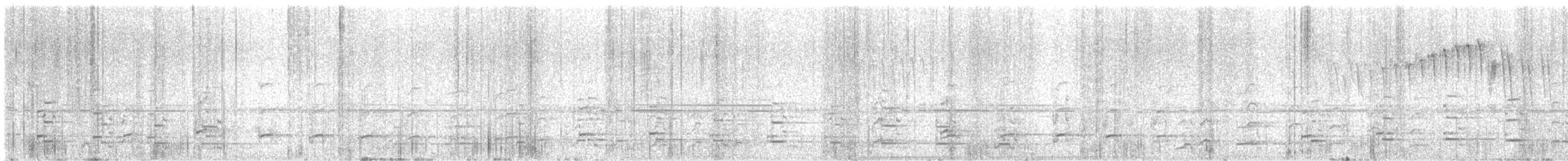 Red-legged Seriema - ML646374705