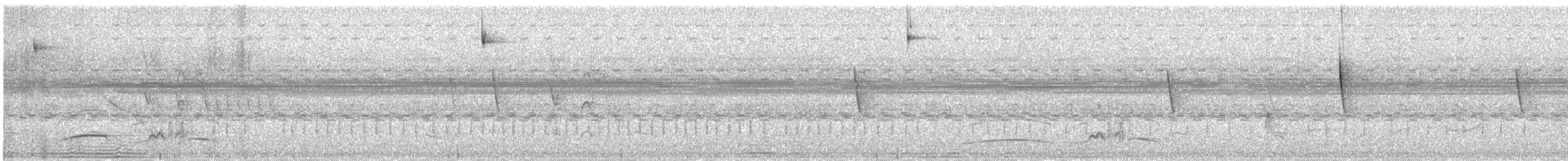 Swainson's Flycatcher - ML646375025