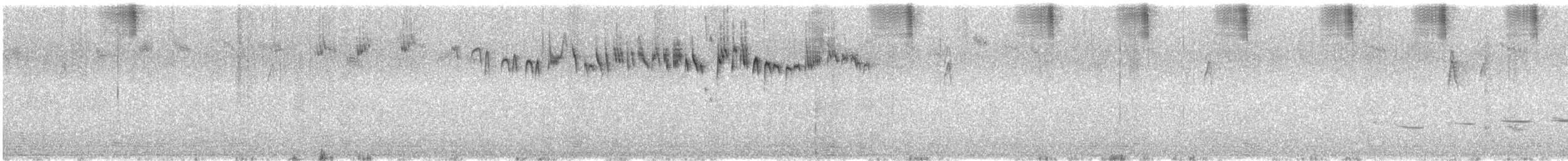 Southern Emuwren - ML646375053