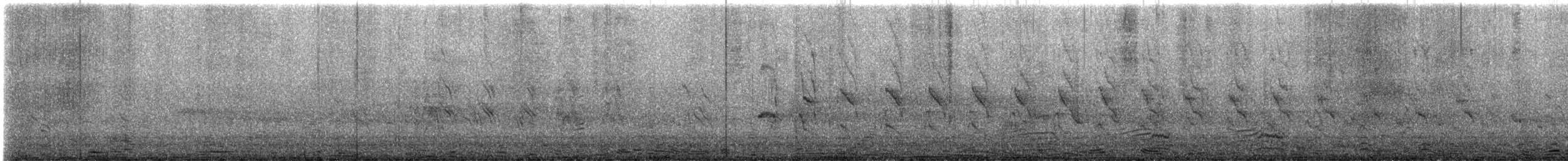 Rose-ringed Parakeet - ML646375078