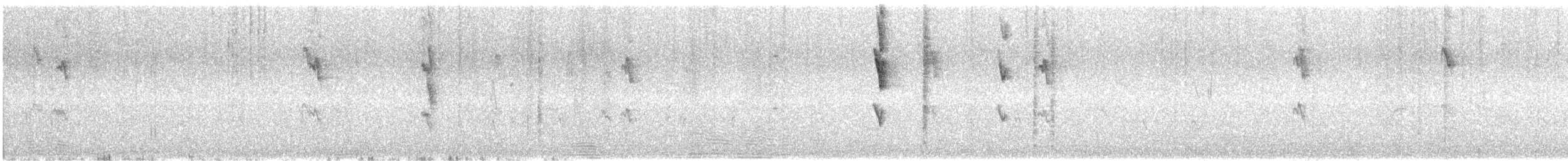 White-cheeked Honeyeater - ML646375200