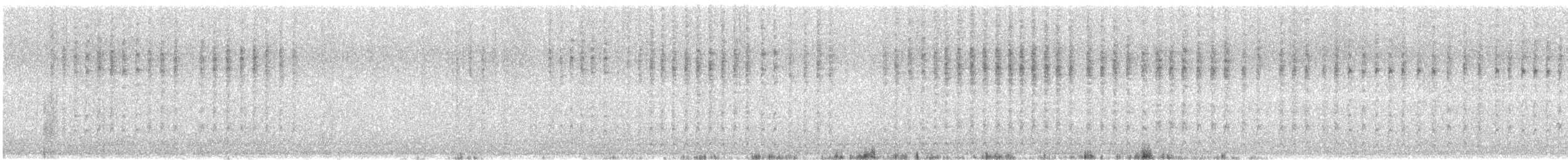 White-cheeked Honeyeater - ML646375240