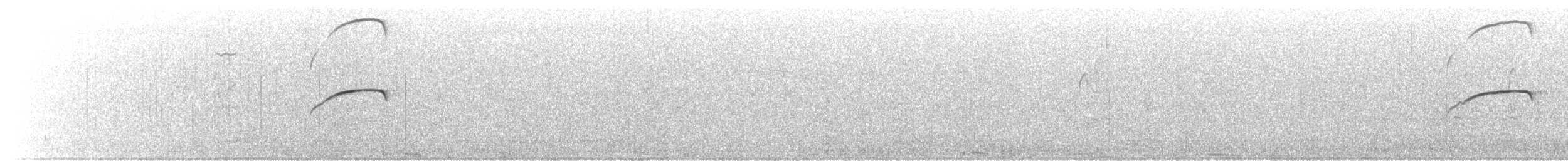 Pigeon Guillemot - ML646375297