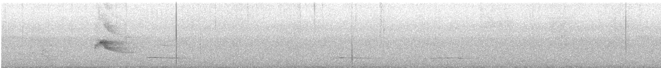 Thick-billed Kingbird - ML646375300