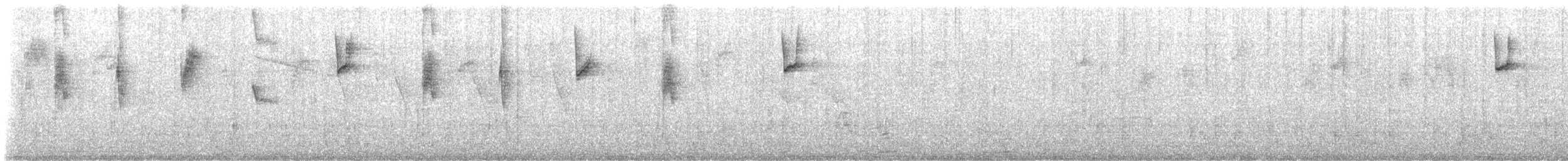 Green-and-white Hummingbird - ML646375450