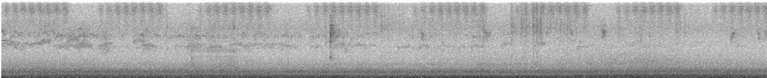 New Holland Honeyeater - ML646375490