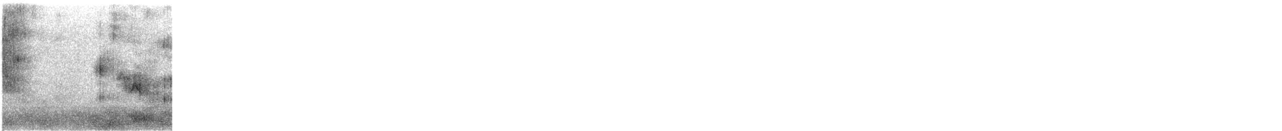 passerine sp. - ML646375804