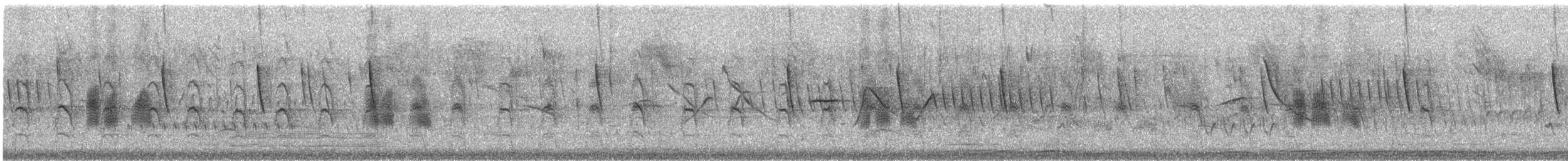 Brown-chested Martin - ML646375959