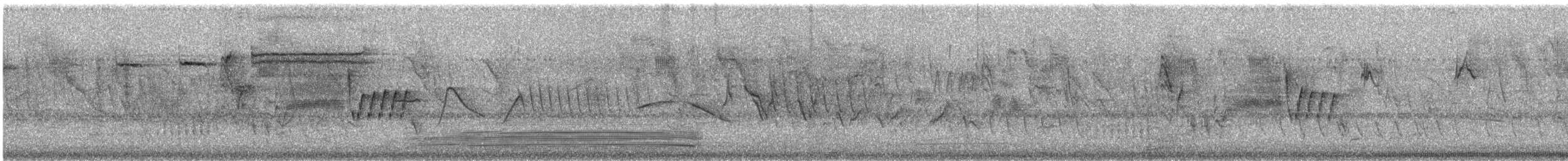 White-browed Meadowlark - ML646375968