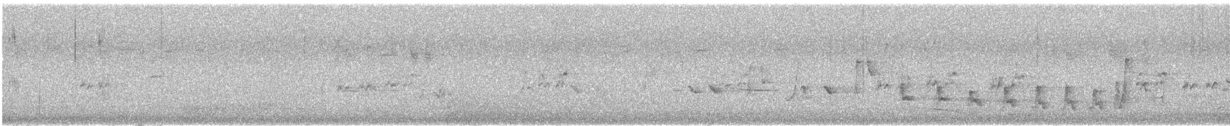 Noisy Scrub-bird - ML646376397