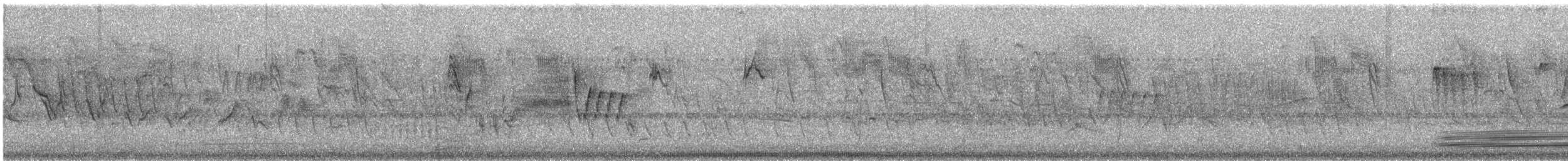 Жовтогорлик східний - ML646376476