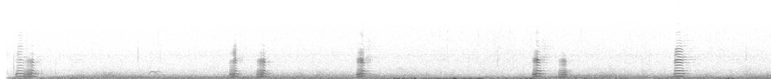 Trumpeter Swan - ML646376508