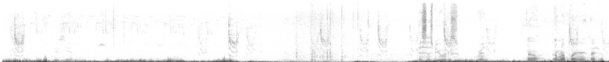 White-throated Towhee - ML646376537