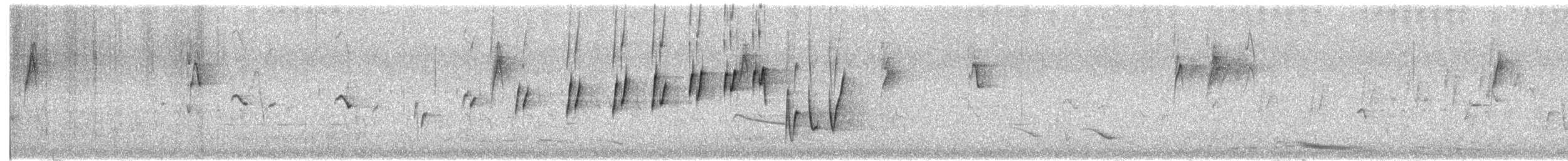 Noisy Scrub-bird - ML646376541