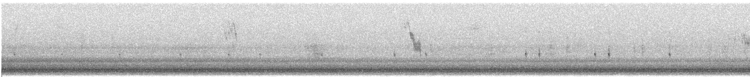 Чечевиця кармінова - ML646376543