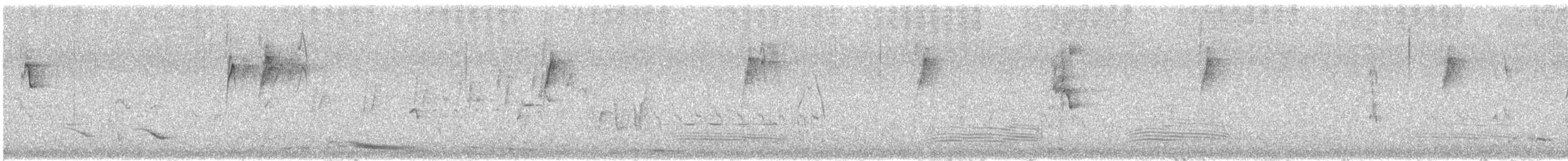 Willie-wagtail - ML646376544