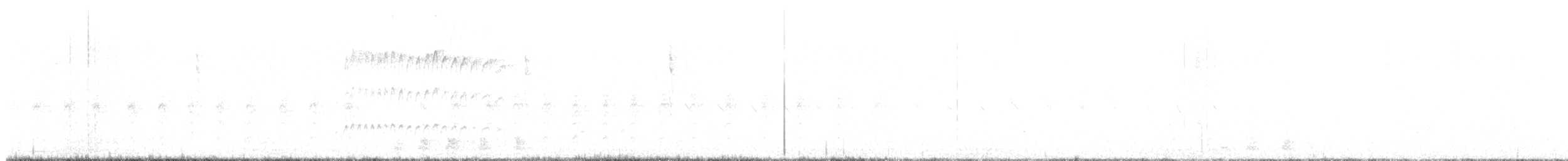 Northern Beardless-Tyrannulet - ML646376617