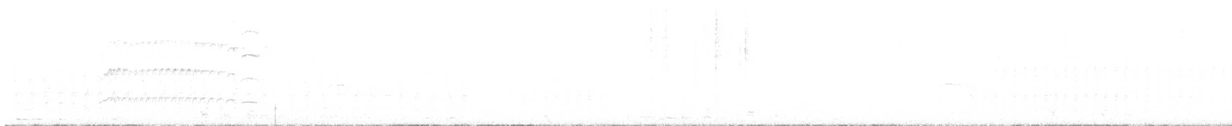 Northern Beardless-Tyrannulet - ML646376618