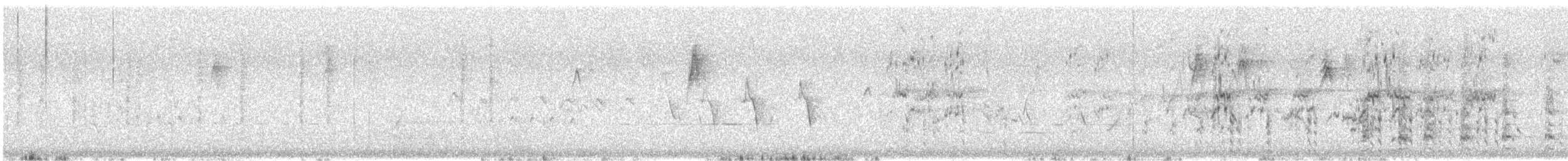 Red Wattlebird - ML646376716