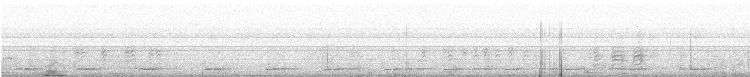 Ashy Woodswallow - ML646376757