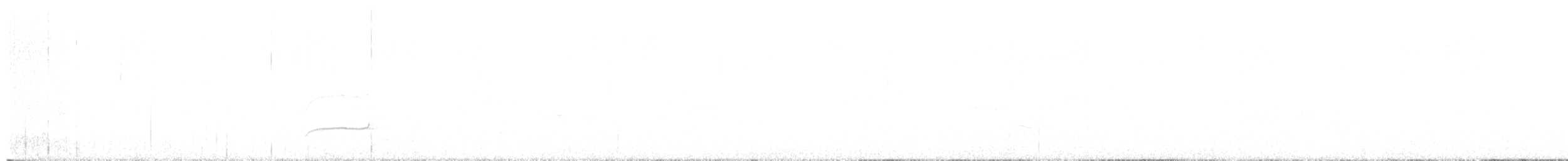 Schwarzkappen-Schopftyrann - ML646376761