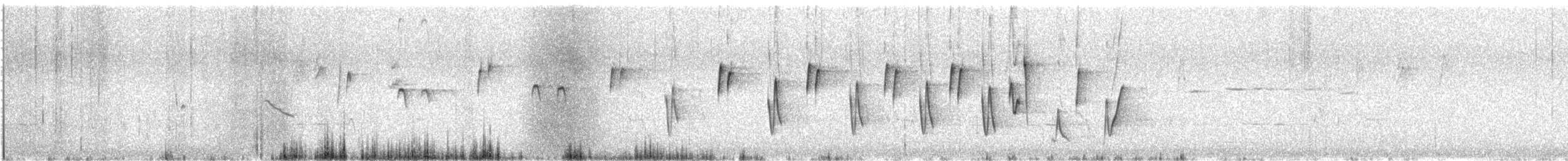 Noisy Scrub-bird - ML646376823