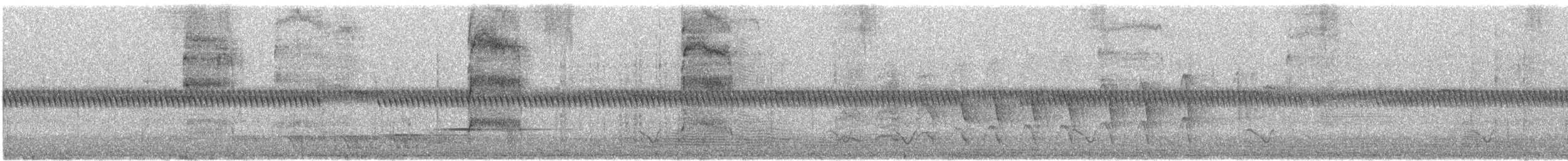 Purple-crowned Lorikeet - ML646376856