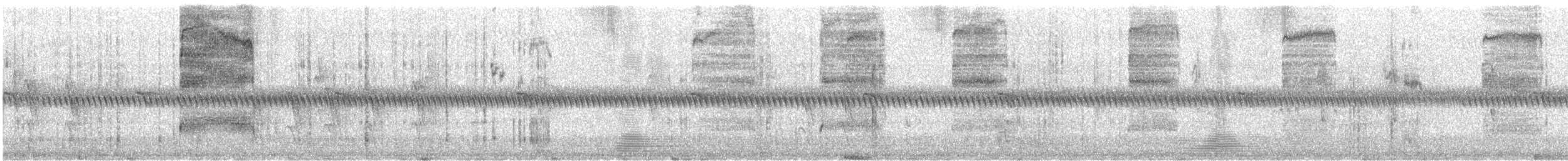 Purple-crowned Lorikeet - ML646376857