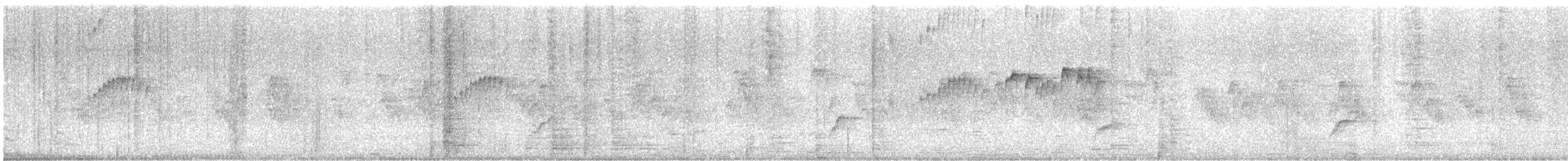 Tropical Kingbird - ML646376896