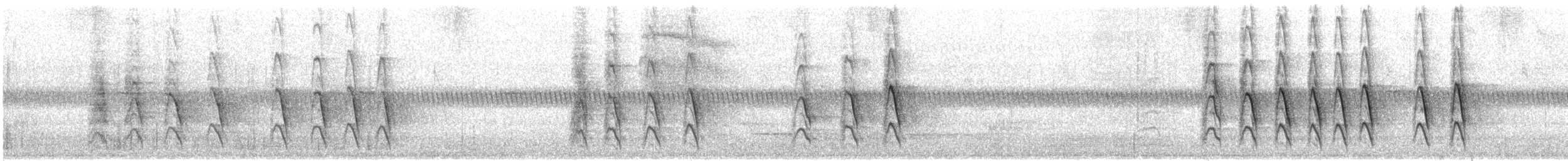 Yellow-plumed Honeyeater - ML646376901