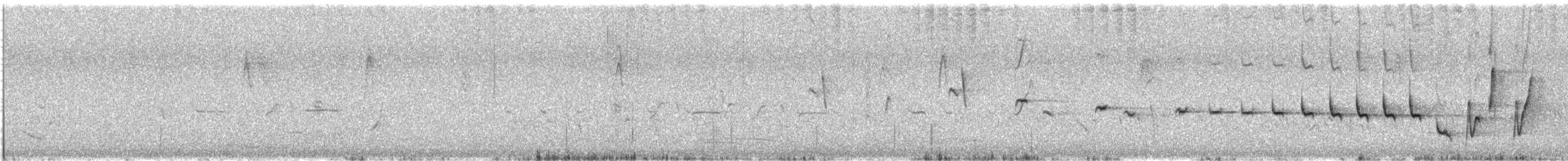 Noisy Scrub-bird - ML646376944