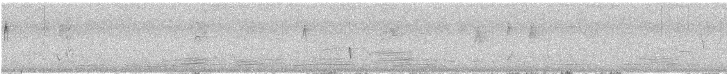 Australian Raven - ML646376950