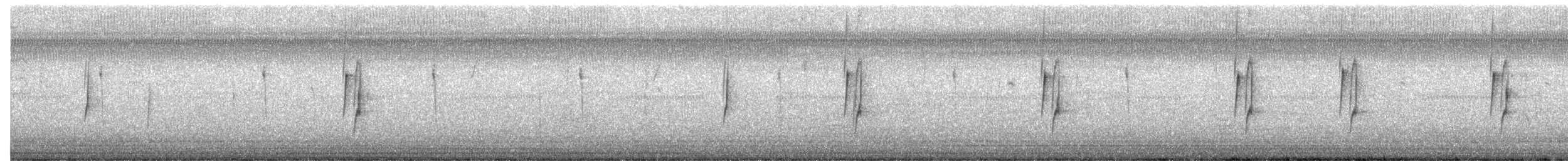 Least Flycatcher - ML646376961