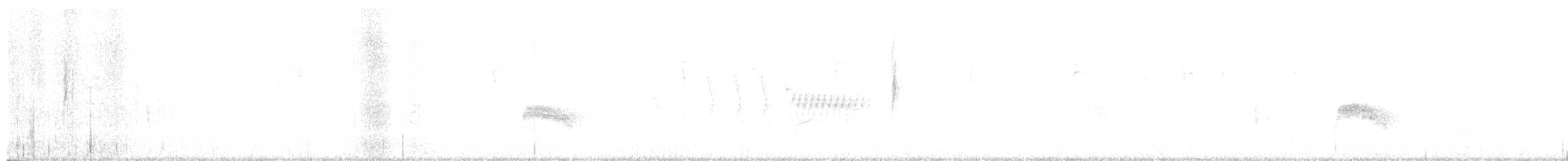 Cassin's Vireo (Cassin's) - ML646377097