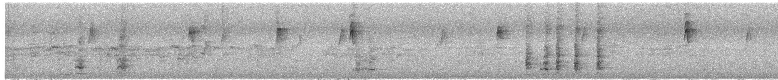 Red Wattlebird - ML646377161