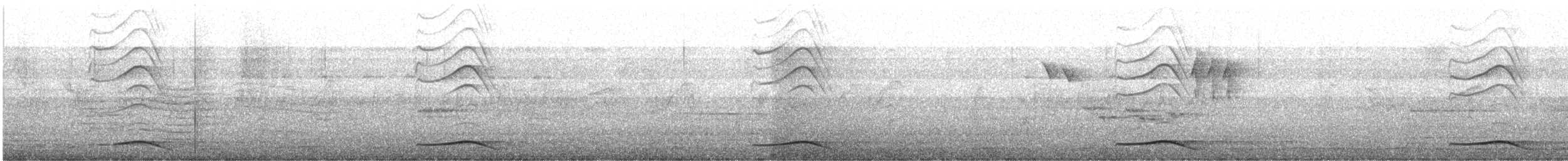 Asian Koel - ML646377230