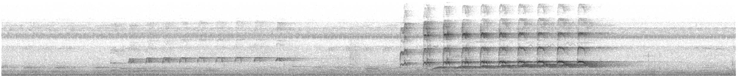 Asian Koel - ML646377263