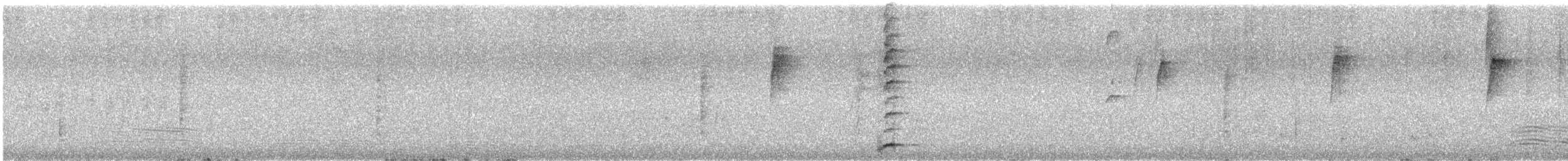 Red Wattlebird - ML646377423