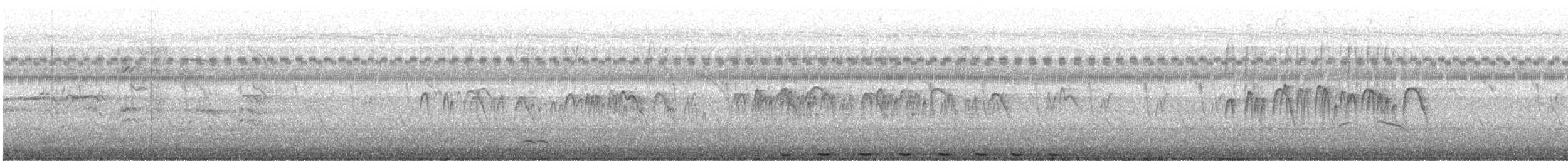 Asian Palm Swift - ML646377455