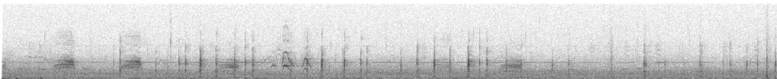 Mallard - ML646377465