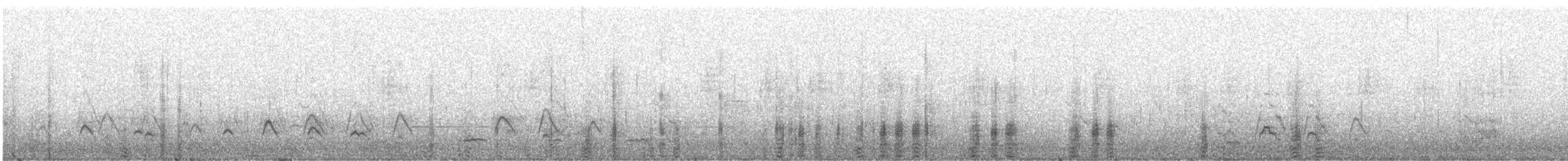 American Wigeon - ML646377467