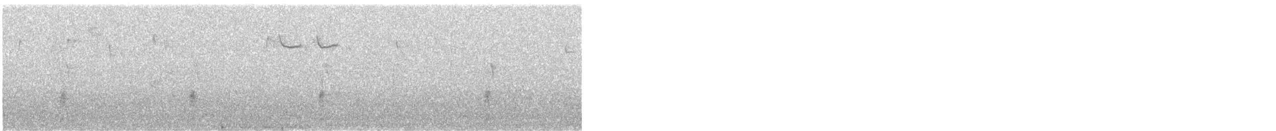 Brown Creeper - ML646377533