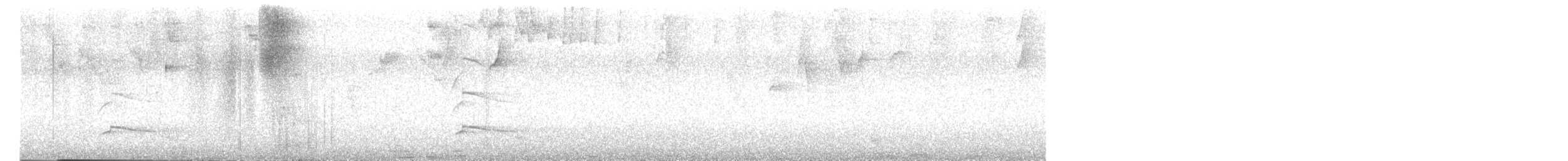 Полосатая агуйла - ML646377628