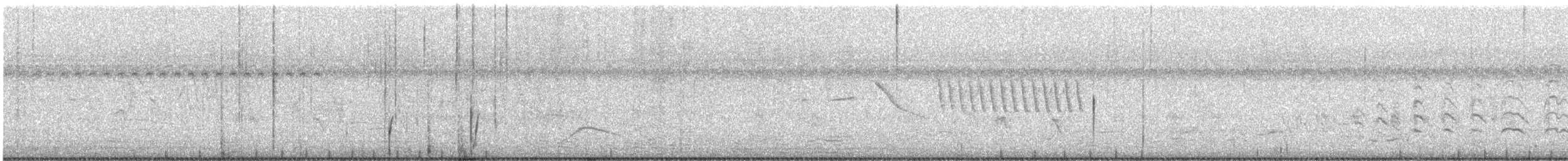 Spotted Rail - ML646377743