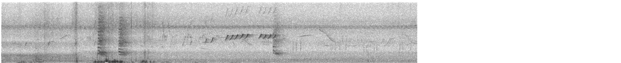 Striated Heron - ML646377757