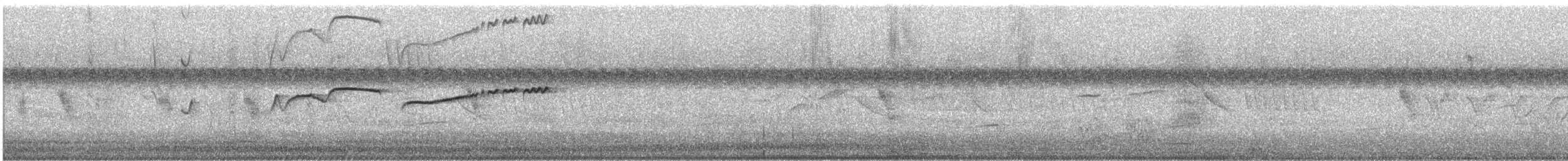 White-naped Xenopsaris - ML646377764