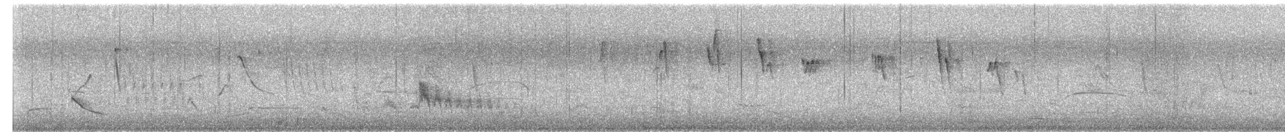 Large Elaenia - ML646377769