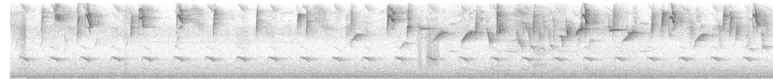 Choco Tapaculo - ML646377875